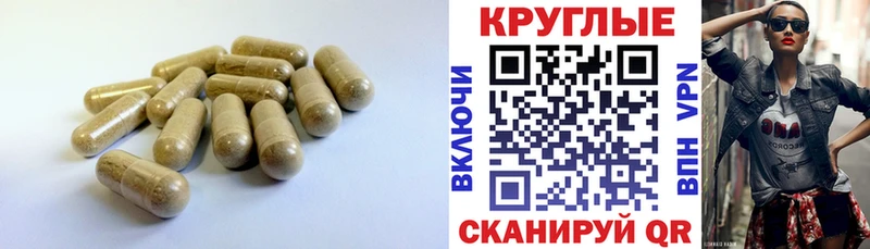 цена   площадка Telegram  ЭКСТАЗИ бентли  Кировск 