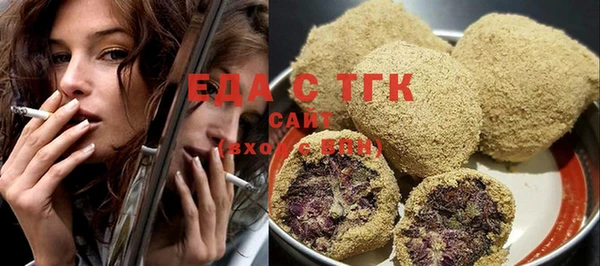 хмурый Аркадак