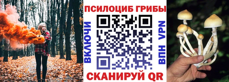 хочу   Кировск  Псилоцибиновые грибы Cubensis 